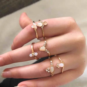  - Jättefina ringar (6pack) alla för 100kr  Aldrig använda 