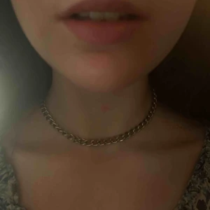  - Halsband, om ni bor i sthlm kan vi mötas i TC om ni är intresserad annars står kunden för frakten