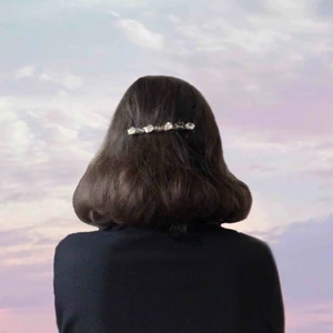  - Supersöta hårklämmor med kristaller. 55 styck eller båda för 100. Frakt inräknat i priset!