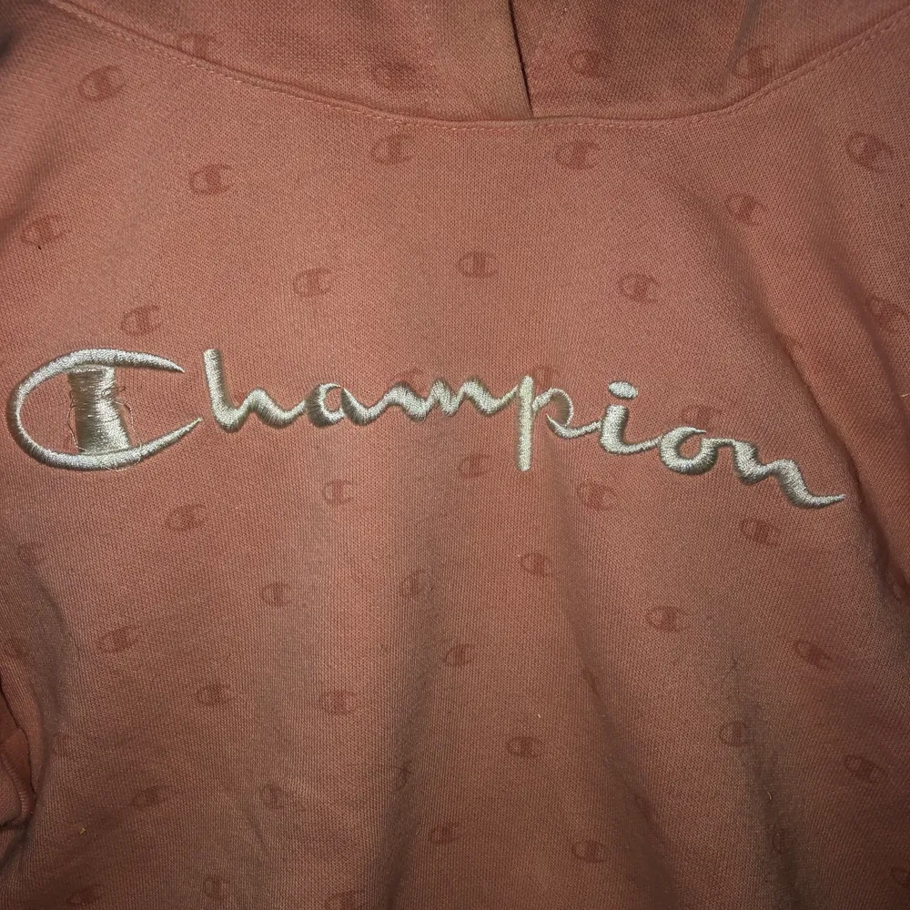 Jätte fin champion hoodie säljs pga bytt stil. Hoodies.