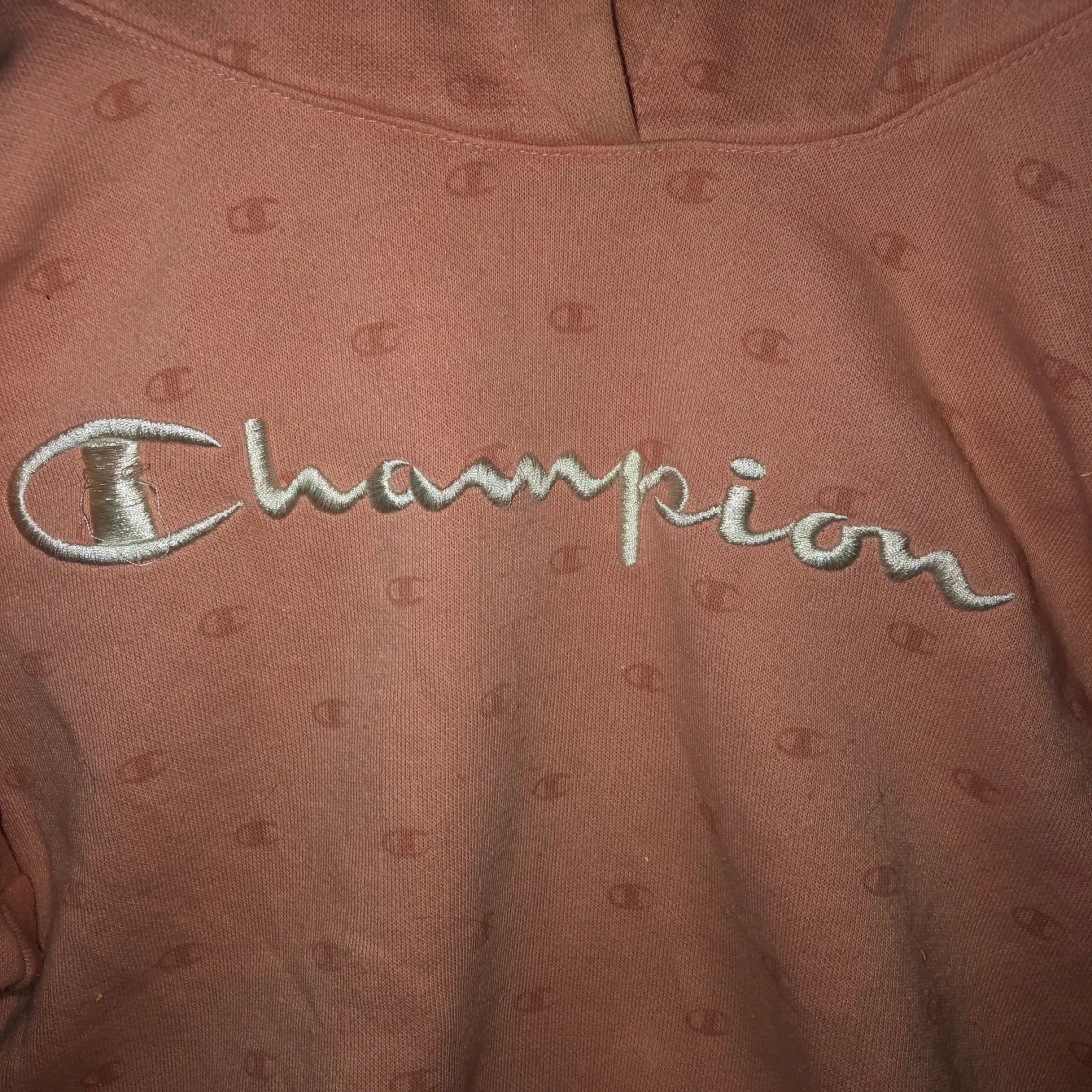 Champion hoodie  - 90