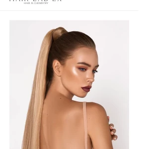 Löshår - Säljen min ponytail som är helt ny.  Ponytail är 50cm lång. Inte äkta hår utan syntetisk hår. Men ser jätte äkta ut. Hårfärgen på ponytail är Chestnut Brown. Säljer på grund av fel färg. Köpt för 549kr säljer för 380kr