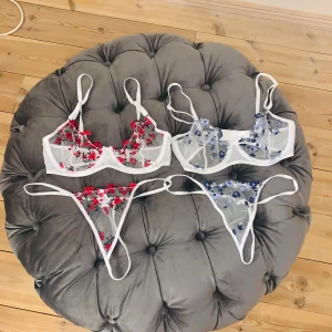 Underklädessett - Väldens finaste sett med trosa och bh. I mesh material. Trosorna är string. I s. De passar tyvärr inte mig. Helt oanvänd. Finns i blå och röd