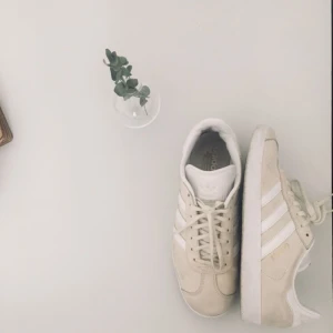  - Gazelle cream Nästintill nya Adidas Gazelle - skor. Använda max 7 gånger. / Stl: 42.  Prioriterar snabba affärer. Ev. frakt går att tillgå men bekostas av köparen.  Ha det gott!