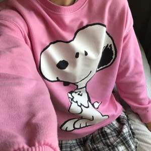 Zara sweatshirt  - Supersöt sweatshirt som passar med nästan allt! Lite y2k aktig, kontakta mig om du är intresserad💞💞