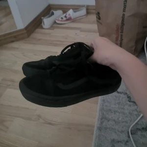Vans old School skor strl 40 - Jag säljer mina vans old School skor i strl 40 pga att de är för små för mig. Skorna är använda men i ok skick. Frakten ingår inte utan det är köparen som står för det. Man budar fårn 100 kr. Budgivningen har inget speciellt slutdatum utan jag godkänner bara ett bud. Högsta bud: 200 kr 