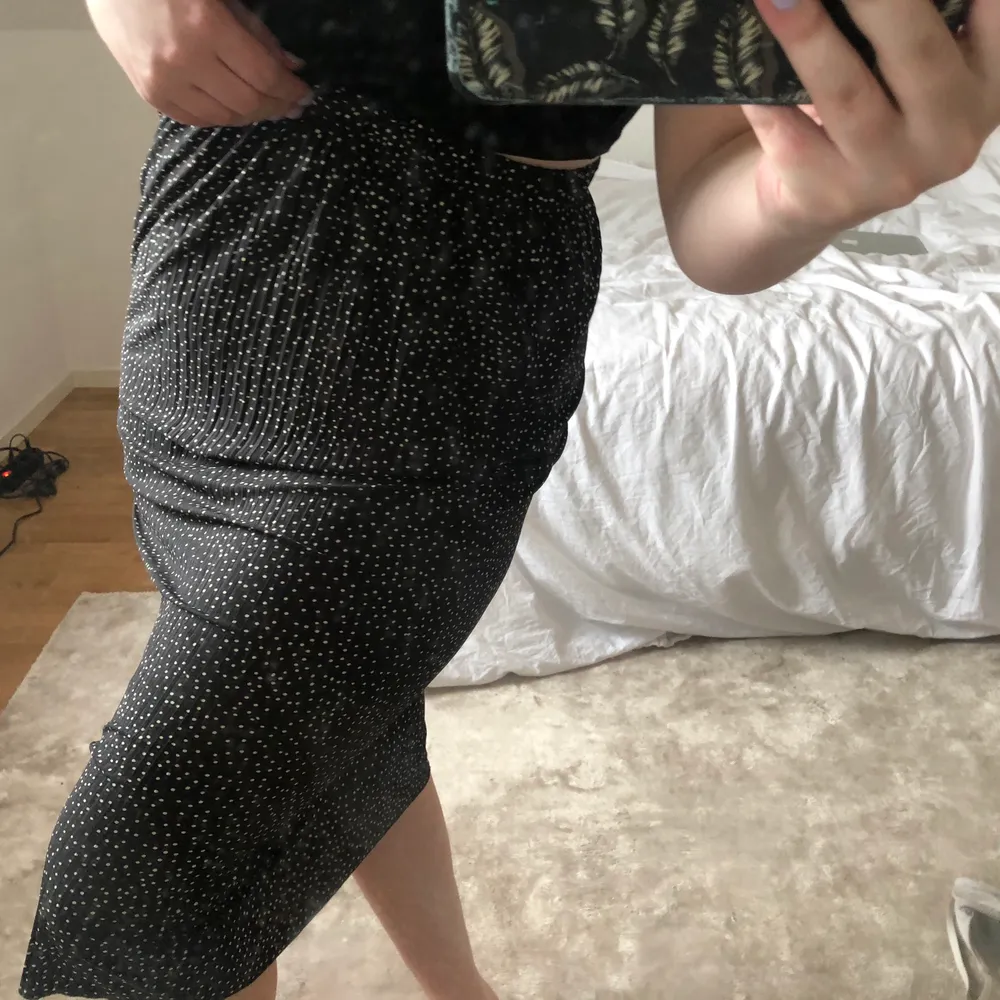 Söt prickig plisserad kjol från zara som jag köpte förra året. endast testad men tagit bort lappen och kunde därför inte lämna tillbaka, priset är exkl frakt.. Kjolar.