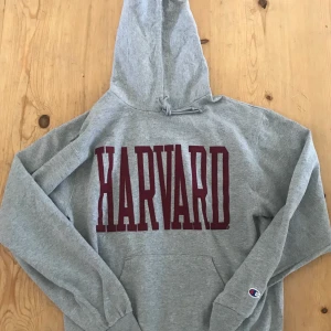 Vintage Champion Harvard Hoodie - Vintage Champion Harvard Hoodie, Grå size M