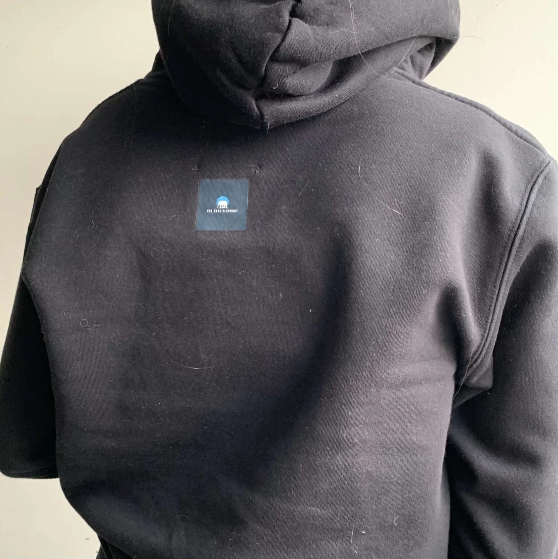 “the cool elephant” hoodie - 91