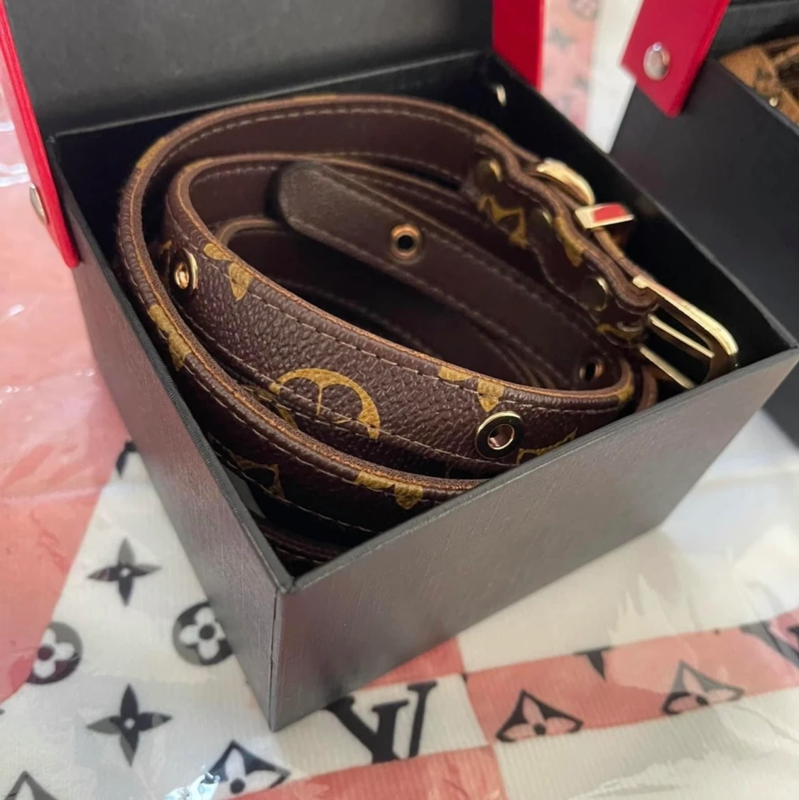 Koppel & halsband storlek M