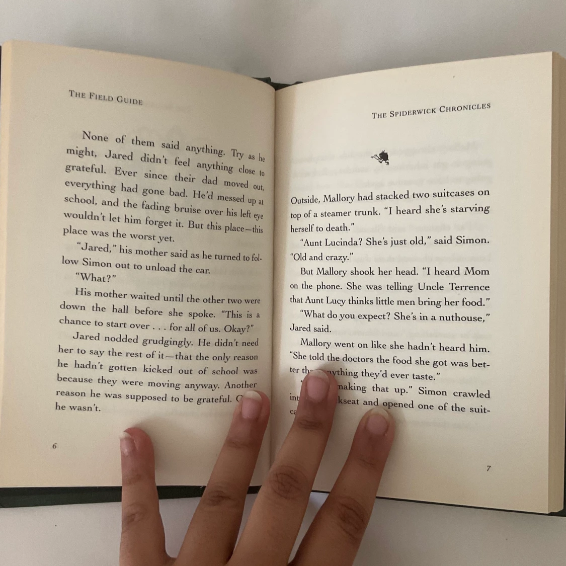 BOK The Spiderwick Chronicles 1 Engelska - 90