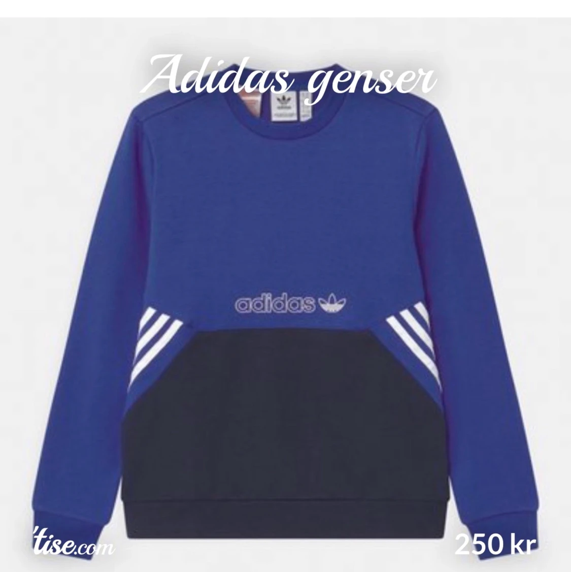  Adidas sweater (Xs)