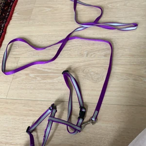 Sele med koppel  - Ett lila, silvrigt sele med koppel till kanin (lite större). Använt men är i fint skick. Någon defekt som man ser på bild 3. Köparen står för frakten.