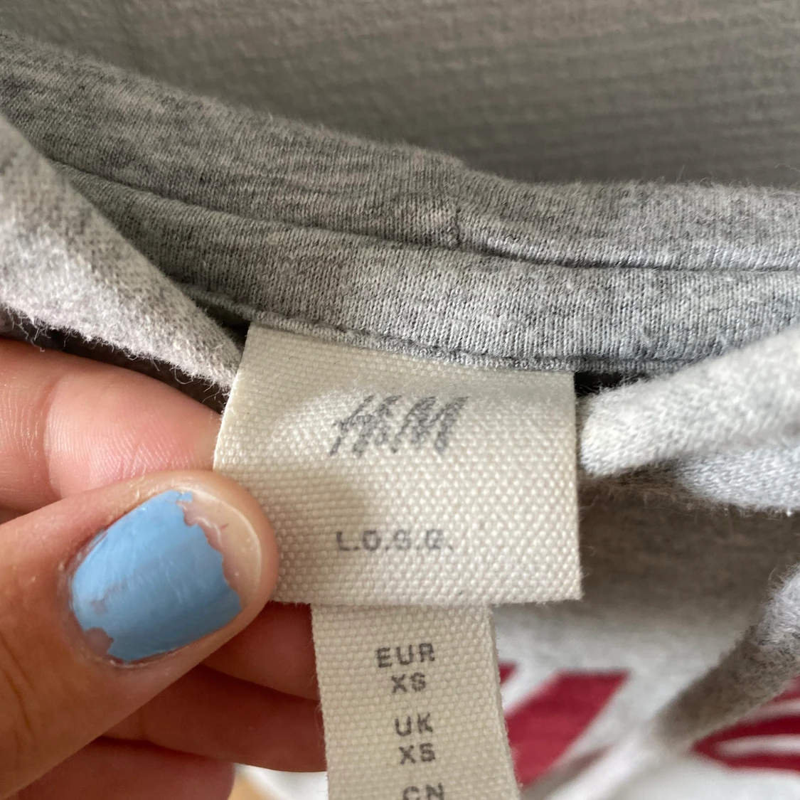 Harvard Hoodie Grå - 91