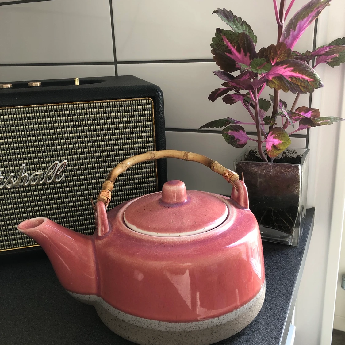 Rosa tekanna 💕💝