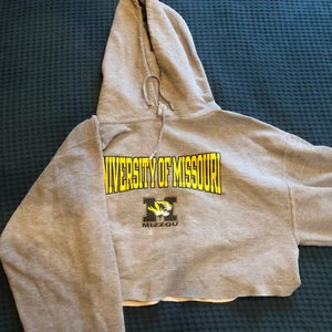 Grå hoodie - En av mina favorit hoodies från beyond retro. Har haft hoodien i isch 2 år så den har jag använt många gånger. Den är stor i armarna och hoodien täcker allt hår. Själv har jag lockigt hår och luvan passade perfekt för mig. 