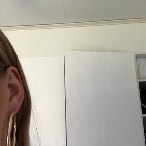 ASOS - Örhängen från ASOS, köpta för 50 kr tror jag och säljer för 30. Köparen står för frakten.