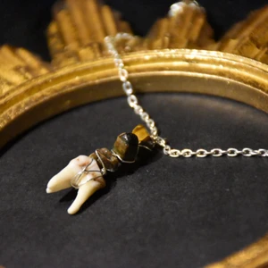 Halsband tand/kristaller  - Halsband med tand från rådjur och tigeröga samt silvrig kedja. 