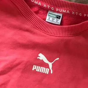 Superfin Puma tröja!!😍 har tyvärr inte hittat någon användning för den. Köptes för nåt år sen för 500kr. Det är Bianca ingrosso som har designat tröjan💓 Färgen är mer som i första bilden än i de andra två:) tröjan är i xs men passar definitivt s!!