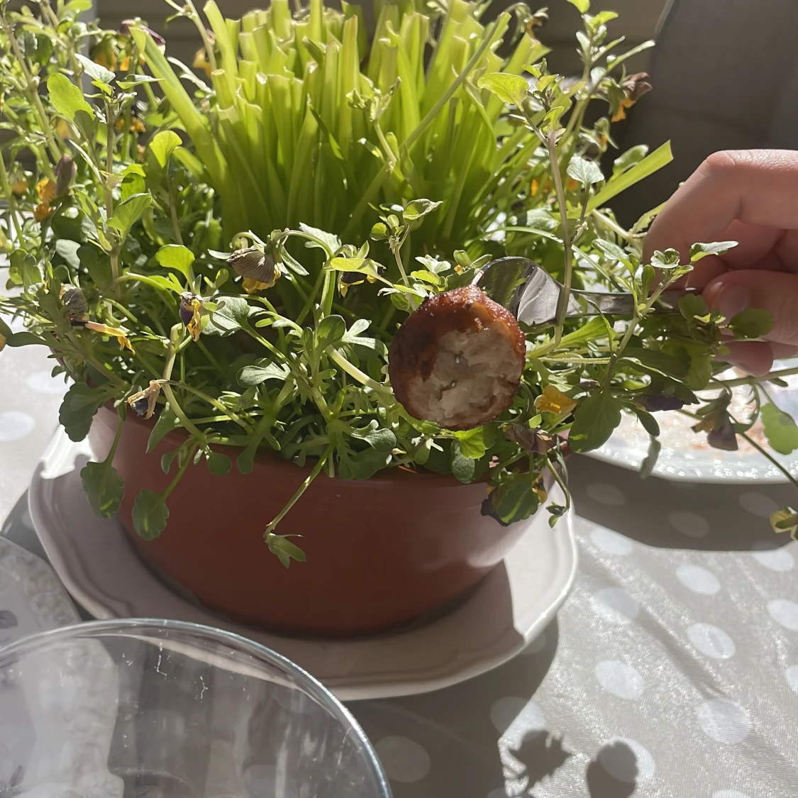 Halväten köttbulle