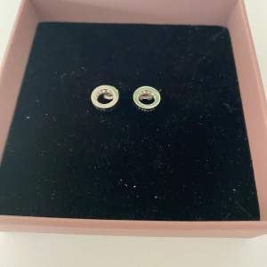 Aldrig använda örhängen från Edblad i rostfritt stål med små stenar på insidan av ringen! Köpta för 350, pris kan diskuteras vid snabbt affär! (Använd gärna köp nu🥰)❤️❤️