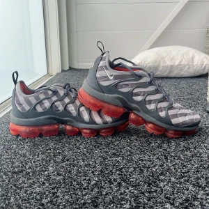 Nike air vapormax plus - Knappt använda, nypris 2600