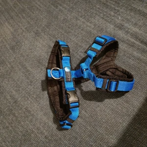 Blå Anny-X fun hundsele  - Superfint och nästan nytt sele. Använd några gånger på nakenhund, så inga pälsrester. Från storleksguiden på Anny-X hemsida: 	22-36cm hals, 43-52cm bröstkorg, 19.5 cm bröstrem.	Passar hundar 6-12 kg.