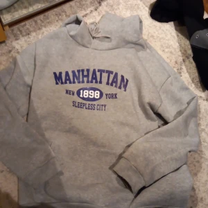 Hoodie - En grå hoddie som har tect i framsidan. Super fin. Nypris 300 säljer för 70. 