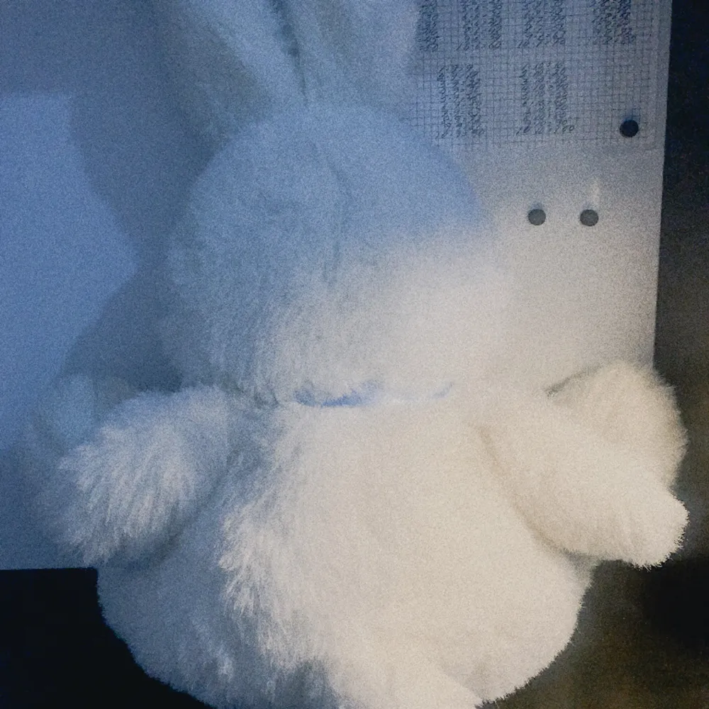 Jättefin vit kanin - gossedjur ☆ 🐇fin och fräsch som ny😁😁. Övrigt.