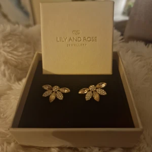 Lily and Rose Lucia Örhängen Champagne  - Superfina örhängen i mässing med Swarovski krisraller från Lily and Rose. Använda endast en gång så är som nya. Säljer för endast 350 SEK.