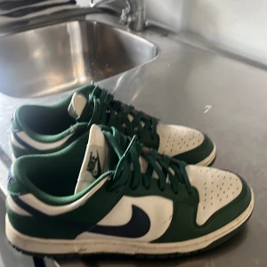 Dunks  - Bra skick använd några gånger 