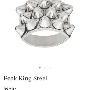 Edblad spikring  - Säljer denna populära ring från Edblad då den ej kommer till någon användning. Storlek M. Använd ca 2 ggr. 