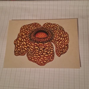 Vykort  - Till inredning. Vid funderingar skicka gärna pm. Pris är diskuterbart. 💖😊