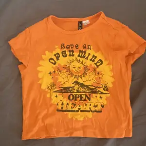 Orange tröja från hm. Den köptes och blev sedan använd fåtal gånger. Jag säljer denna eftersom att det inte är min stil längre. Den är också o jätte bra skick den behövs bara strykas lite.