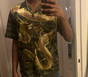 Drak-skjorta - Guld-Grön mesh skjorta med drakmotiv. Lätt att styla och kombinera med annat! 