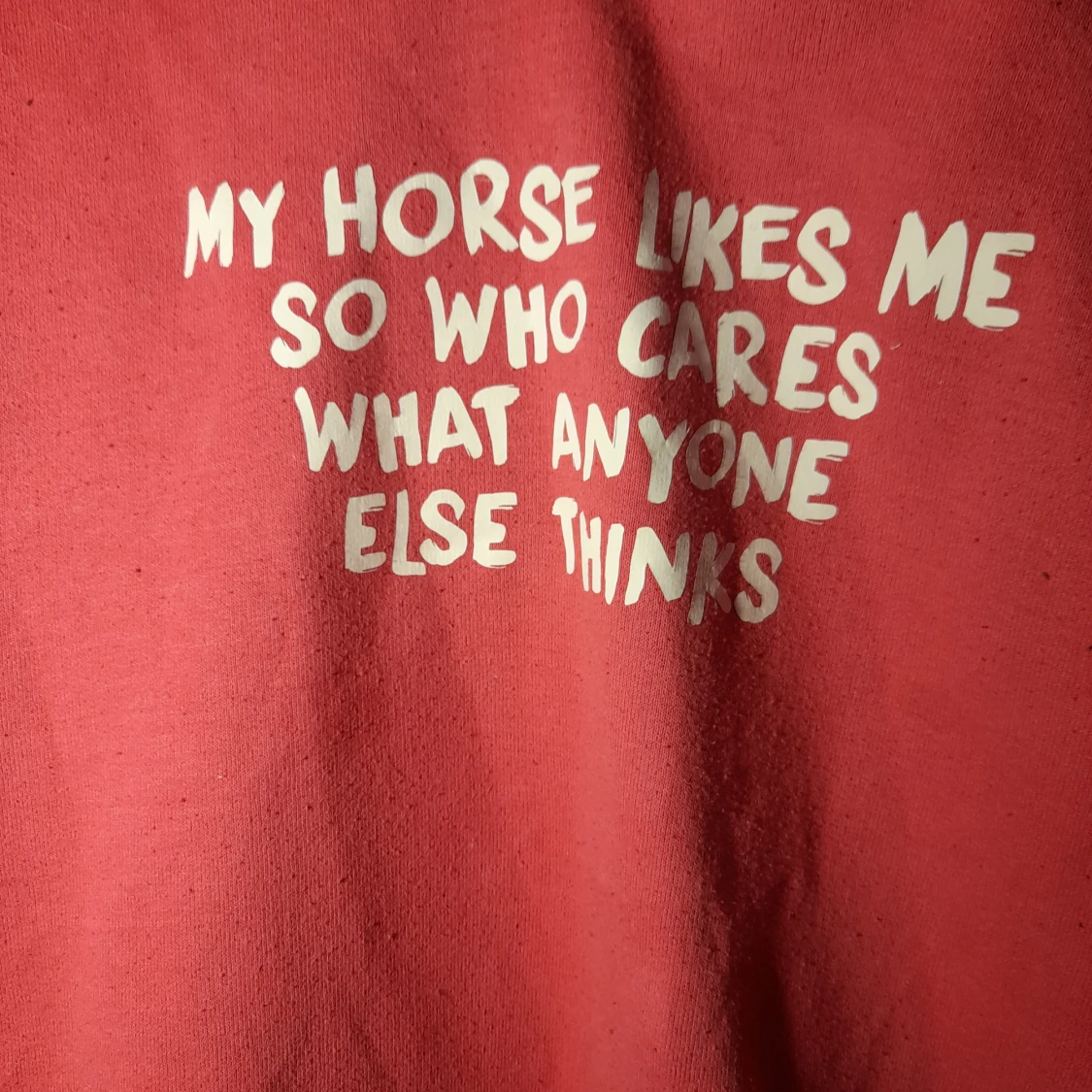 Rosa Hoodie 158/164/170 - 91