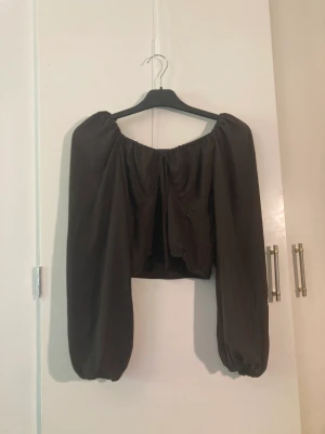 Blus - Snygg brun blus, senast använd för några månader sedan. Har använt den mycket så det är ett litet hål som man kan se på sista bilden. Säljer för att den är lite liten och använder den inte!