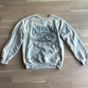 Sweatshirt  - Säljer denna sweatshirt från pretty littleting, den är i stolek S och super fin! Jag fraktar endast och köparen står för frakten❣️