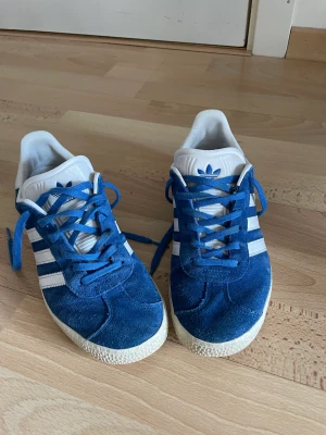Skor - Adidas Gazelle skor i väldigt bra sick💕