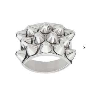 Edblad Ring  - Använd men har skötts om fint dvs inte tappat färg eller nitar pga aldrig duschat/tvättat händer med den på. Ser ut som ny 🫶🏼 Storlek S (16,8 mm) 