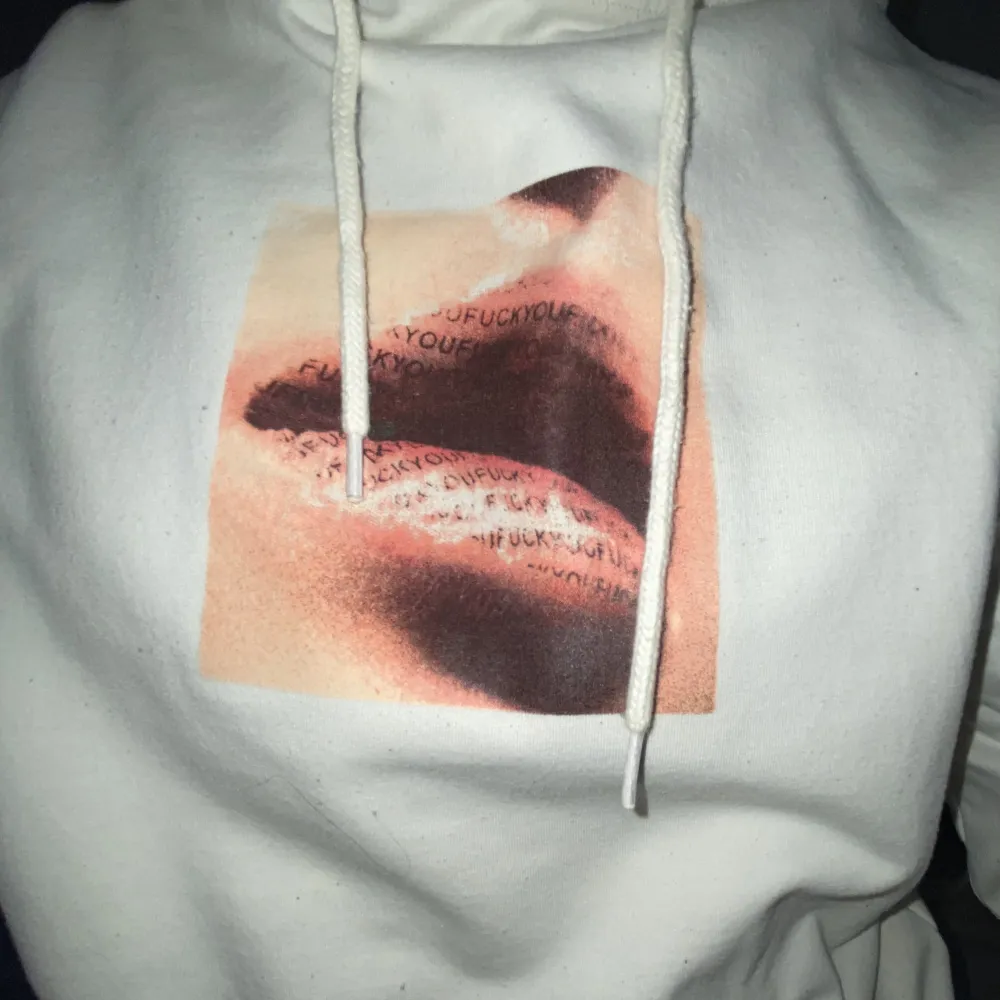Har älskat denna hoodie men den är tyvärr för liten för mig nu. Det står ”fuck you” 🫢 på läpparna (trycket).  Fråga gärna om fler bilder! . Hoodies.