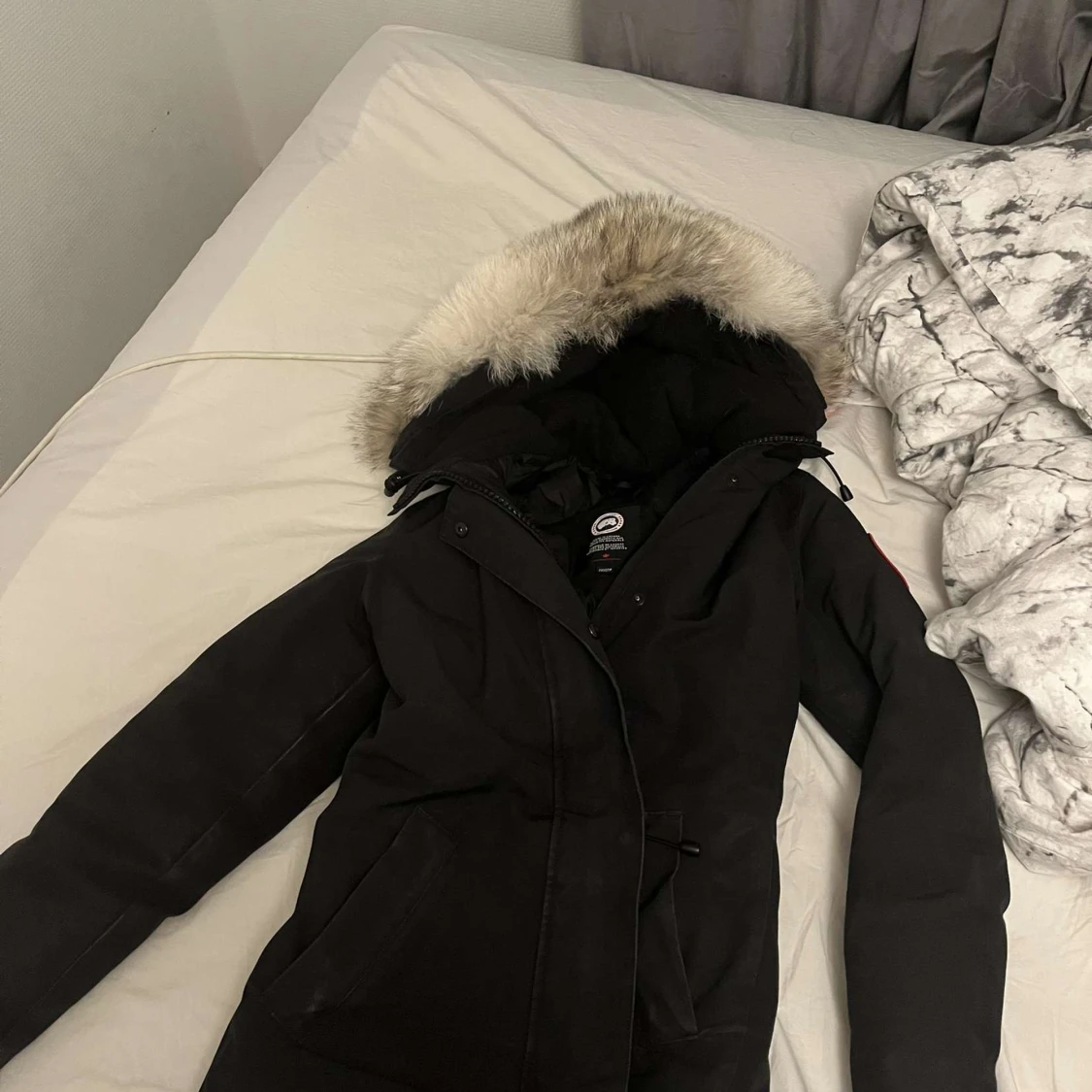 Canada Goose - 91