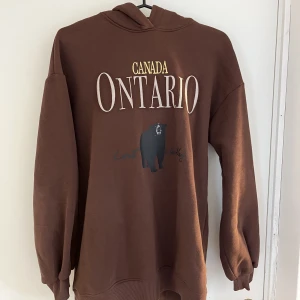 Hoddie  - Brun hoddie med tryck från Gina Tricot i storlek XXS. Är oversized och säljer pga kommer ej till användning längre. 🤎