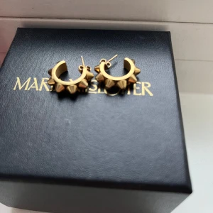 Edblad spike örhängen -  💕 Intressekoll pådessa Edblad spike örhänge i vanliga storleken INTE MINI) Andvända typ två gånger. Inga defekter är som nya. 💕 tyvärr så har jag inte kvar lådan till dom men dom packeterss såklart i en Annan smyckes låda!💕 skriv om du har några frågor.💕