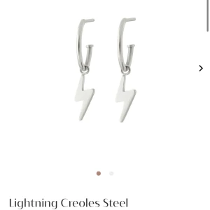 Edblad örhängen - Hej! Jag säljer dess örhängen för att jag har gått över till guld smycken💕 dom är i bra skick☺️ Kan gå ner i pris!