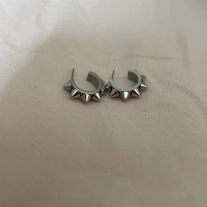 Edblad örhängen - Fina örhängen från Edblad!!