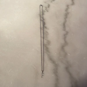 Halsband med ett silver ”F” - Observera bara ”F:et” är i silver Kedjan är i rostfritt stål