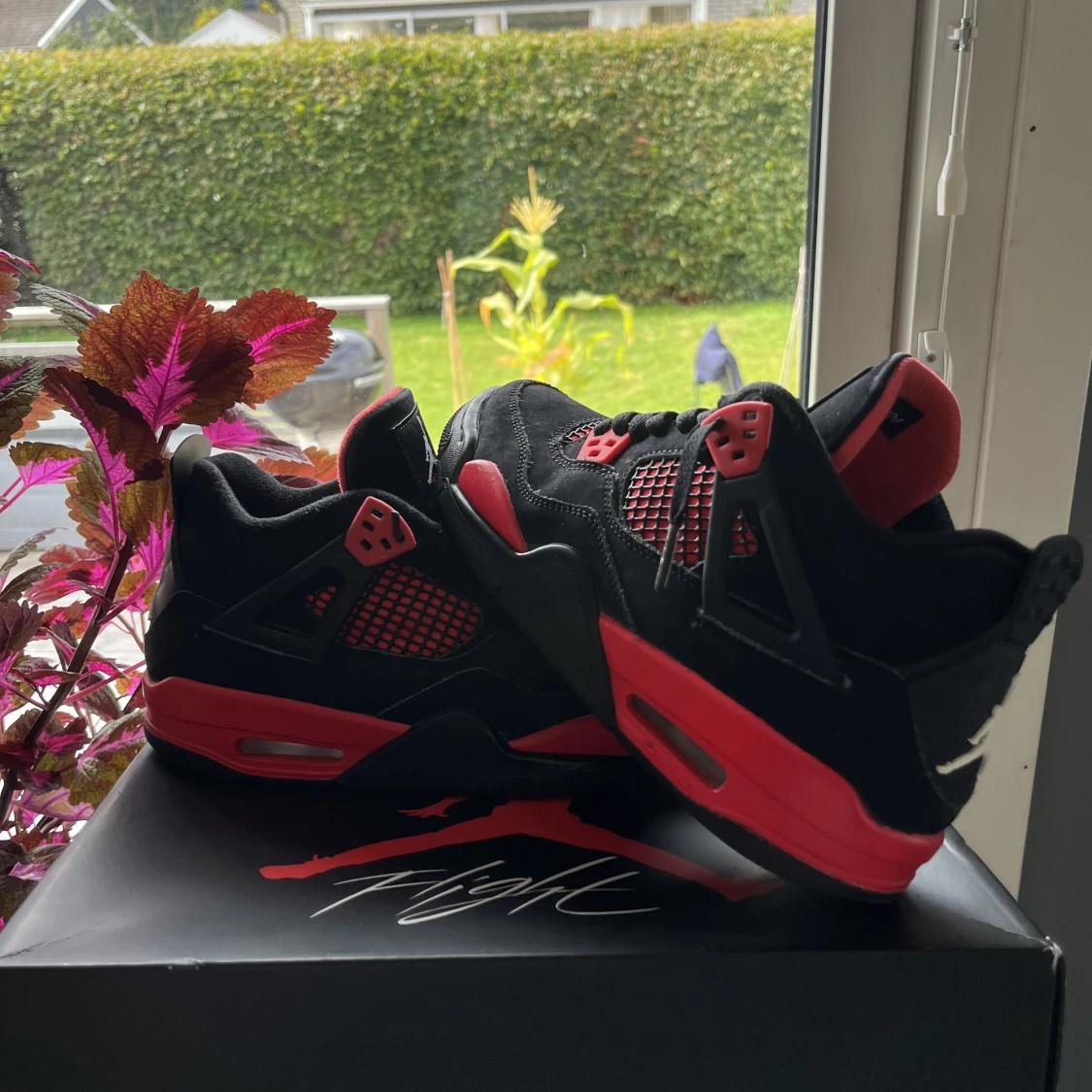 Jordan 4 Retro Red Thunder 