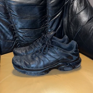 Nike air Max  - Hejsan, säljer nu mina Nike air max Tn då jag ska förnya lite skor. Använda som enligt bild.   Storlek 45  Nypris ca 2200  Pris går att diskutera 