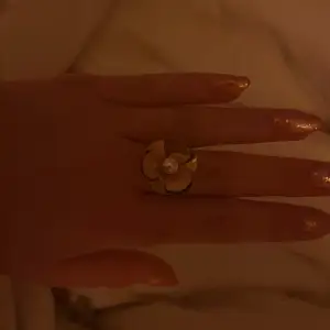 Jätte fin guld färgad ring